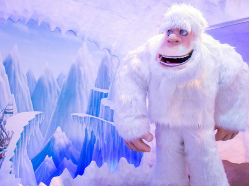 Ingresso Snowland
